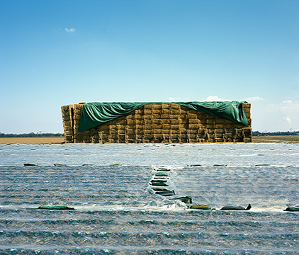 Großformat Landschaft Stroh